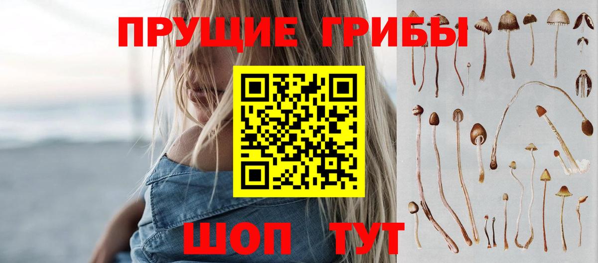 Галлюциногенные грибы мухоморы Железногорск
